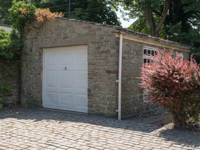 Picture 8